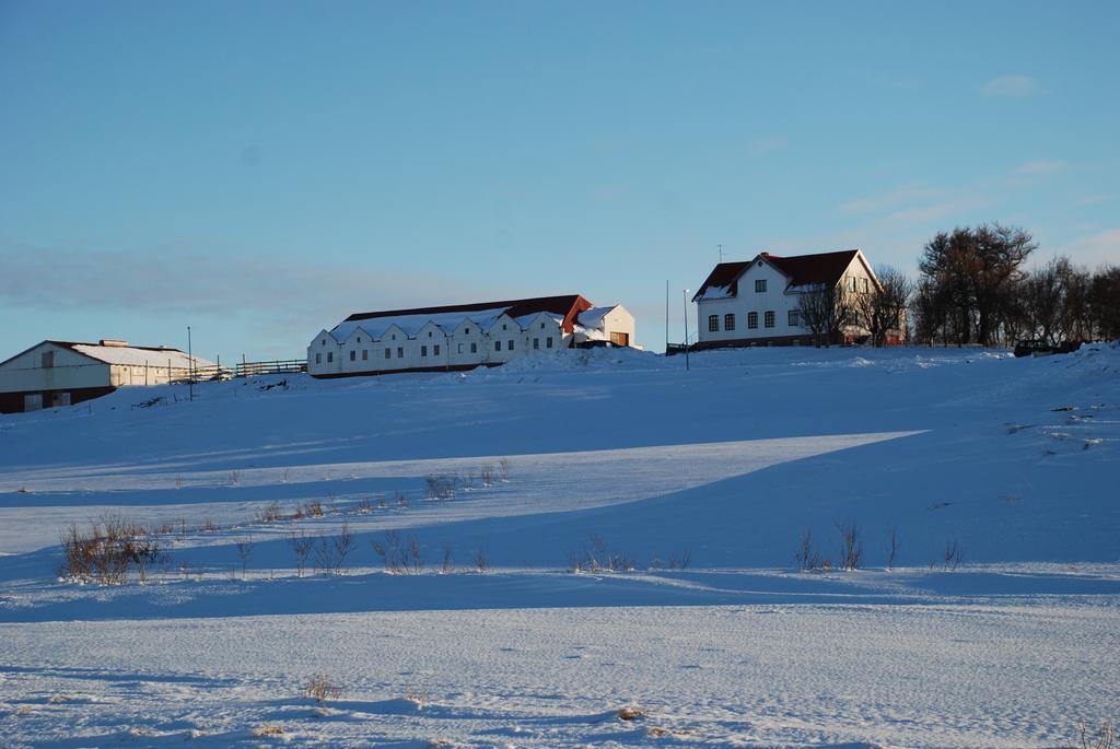 Helluland Guesthouse Saudarkrokur エクステリア 写真
