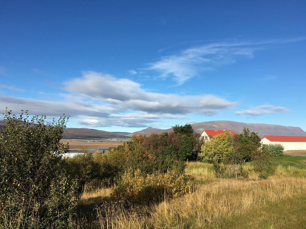 Helluland Guesthouse Saudarkrokur エクステリア 写真